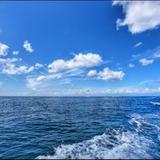 孤寂成海126头像