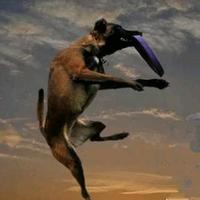 发财贝里2X0头像