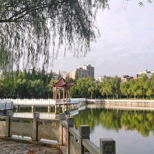 策马西风头像
