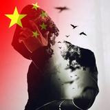 优雅钢笔YDi头像