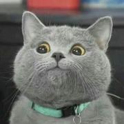 jerome的个人资料头像