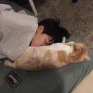 SkyciusChan的个人资料头像