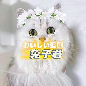 兔子君追剧头像