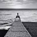 敲到码呆的个人资料头像