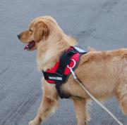 CatQBT的个人资料头像