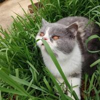 用户4993908285882头像