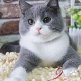 惜缘依诺头像