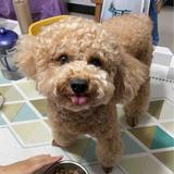 用户714295076965头像