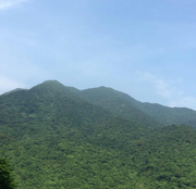 半城风雨半城沙的个人资料头像