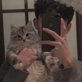 A独行侠149头像
