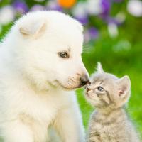 这个用户名不行头像