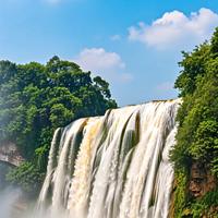 用户5303289055450头像