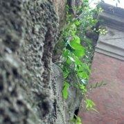 city2012的个人资料头像