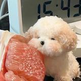 Lee88345头像