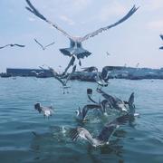 用户1629238032872的个人资料头像