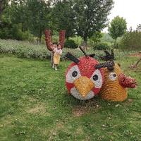 输入用户人名头像