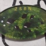 俊俏橘子No头像