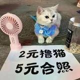 败家的老爷们头像