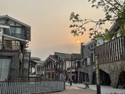 W_Dragon的个人资料头像