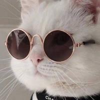 奇幻百香果3zV头像