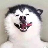 原点头像