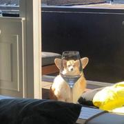 Jc665的个人资料头像