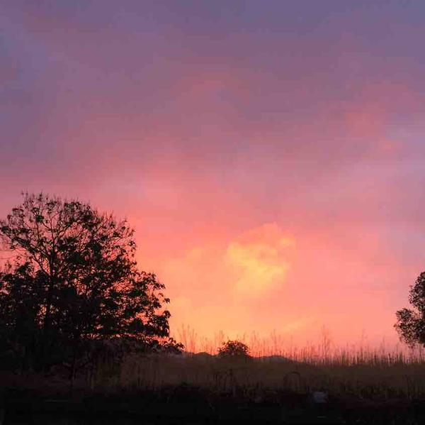 Fighting58769506头像