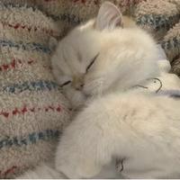 用户1314863653808头像