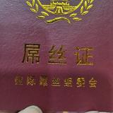 gx村长头像