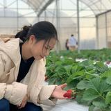 用户8905303973436头像