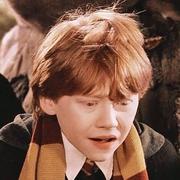 YOYONE的个人资料头像