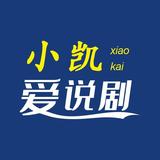 小凯爱说剧头像