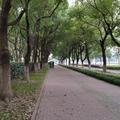 一个爱看新闻的路人头像