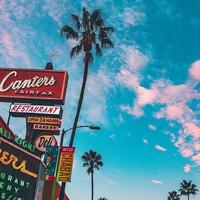 十月的肖华头像