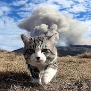 GarrixKop的个人资料头像