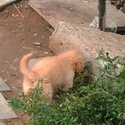 kxkk的个人资料头像