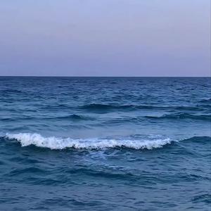 海洋故事汇头像