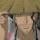 军夜775 · 皓影车主·车龄5年头像