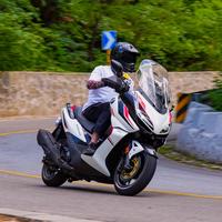 锤锤一往无前头像