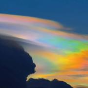 按时睡觉300的个人资料头像