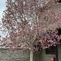 梦幻正道沧桑头像