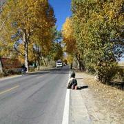 刘小志920的个人资料头像