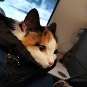 皮皮伍同学的个人资料头像