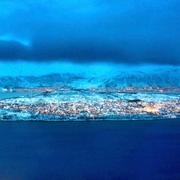 Alexander501的个人资料头像