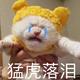 威威之臣头像