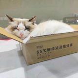 丶 墨凰头像