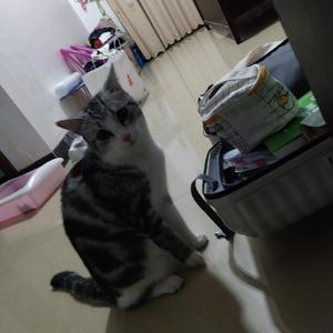 表里如一治愈小馆头像