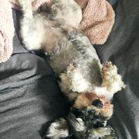 用户6332955272818头像