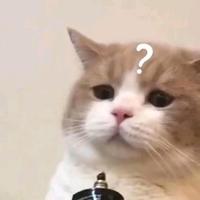 🐱头像