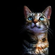 lyy713的个人资料头像